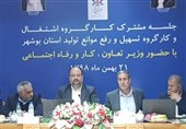 وزیر تعاون در بوشهر: 13000 میلیارد تومان تسهیلات اشتغال‌زایی روستایی پرداخت شد