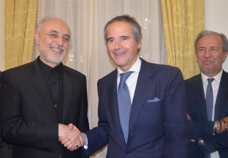 IAEA Chief Congratulates Iranians on Revolution Anniversary