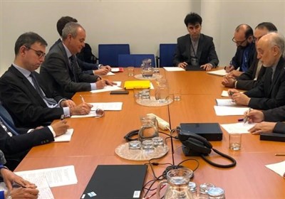  دیدار صالحی با رئیس سازمان انرژی اتمی فرانسه 