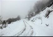 کولاک برف جاده چالوس را مسدود کرد/ بارش برف و باران در جاده‌های 15 استان