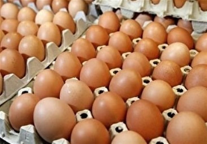 بیش از 13 هزار تن تخم‌مرغ در استان کرمانشاه تولید می‌شود