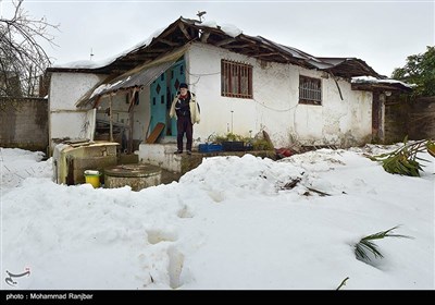 تخریب سقف منزل مسکونی در پی بارش شدید برف در استان گیلان