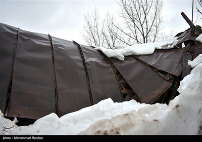 تخریب سقف منزل مسکونی در پی بارش شدید برف در استان گیلان
