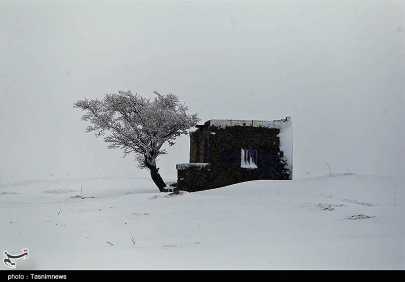 طبیعت برفی بجنورد به روایت تصاویر