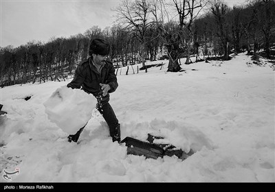 فیض الله تلاش میکند جعبه های کندوی عسل را از زیر برف بیرون بکشد. خانه او زیرکوه است و بر اثر ریزش بهمن تمام 50 جعبه کندوی عسل او زیر برف مدفون شده و به کلی نابود شد.