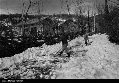 دو تن از اهالی روستای لشکج لوشاده شهرستان سیاهکل پس از پنج روز از شروع بارش برف یکی از راههای فرعی روستا را بازگشایی میکنند.