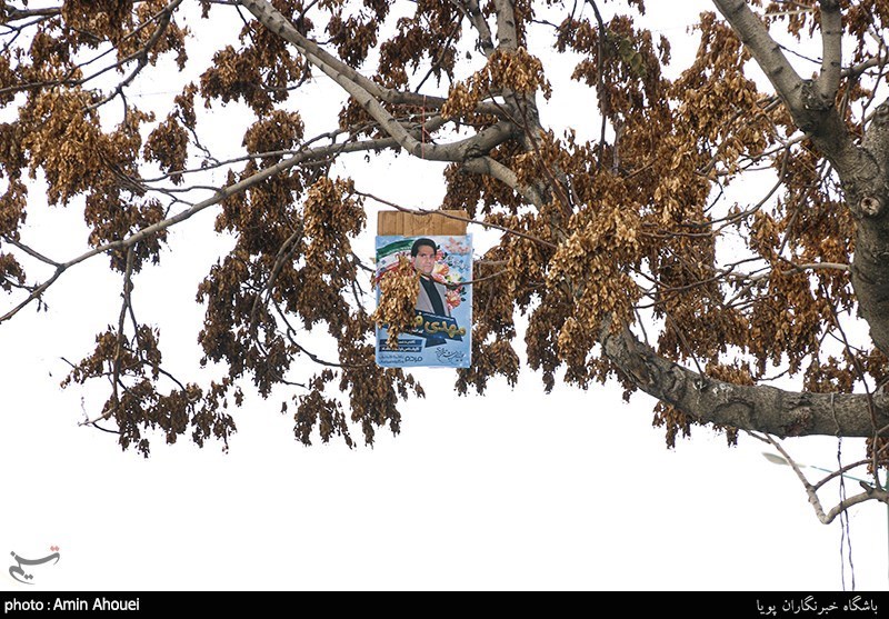 گزارش میدانی تسنیم از حال و هوای انتخابات در اصفهان؛ تبلیغاتی که بار درختان را سنگین‌تر کرد!