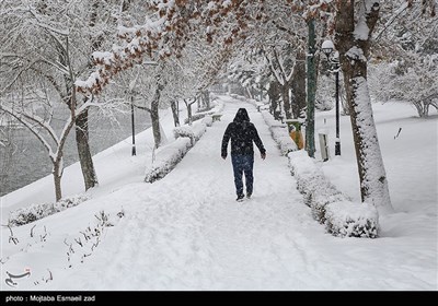 بارش برف در ارومیه