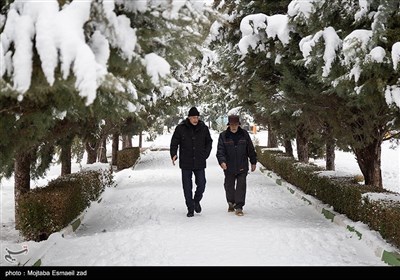 بارش برف در ارومیه