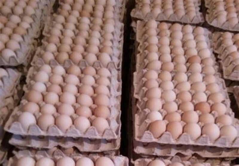 عوارض صادراتی تخم مرغ تا پایان شهریور صفر شد