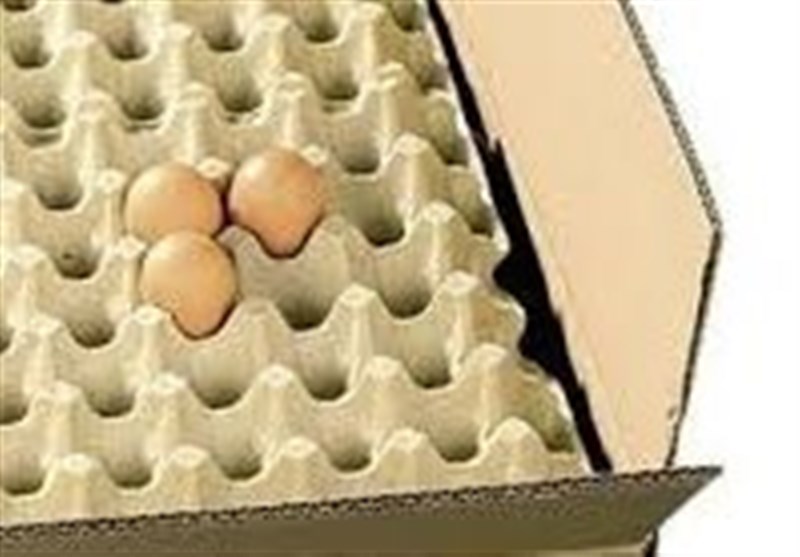 صرفه جویی روزانه 688 میلیون تومانی با حذف کارتن تخم مرغ در کشور
