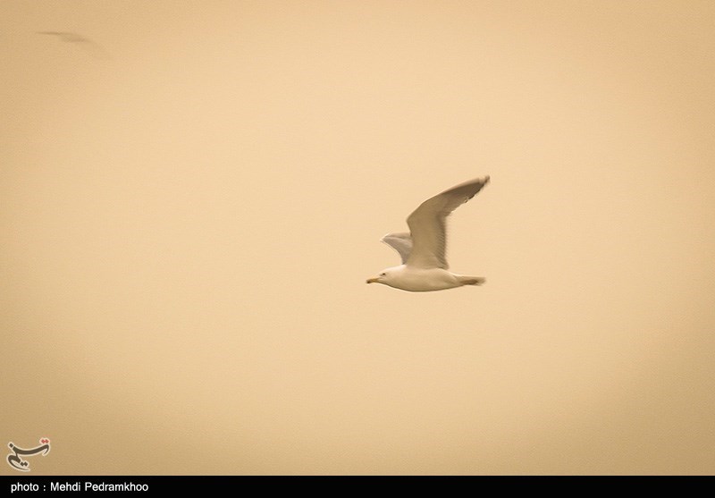 توده گرد و غبار خارجی خوزستان را دربر می‌گیرد