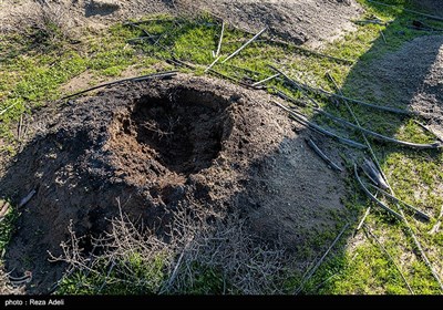 به دلیل خشکسالی های پیاپی در کرمان بخصوص در شهرستان های حاشیه کویر و گرمسیر طی سال های گذشته بسیاری از محصولات کشاورزی تحت تاثیر گرما و کمبود آب، جای خود را به محصول مقاوم تر یعنی خرما داده بودند اما شدت گرمای هوا به حدی افزایش یافت که عملا خرما که مقاوم ترین گونه گیاهی در مقام افزایش دماست نیز تاب نیاورده و رو به نابودی گذاشته است. تاکنون بطور تقریبی 70 درصد نخلستان ها در کرمان از بین رفته اند.