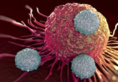 &quot;حسگر تشخیص سریع سرطان&quot; توسط محققان ایرانی ساخته شد