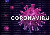 White House Asks Congress for $2.5 bln to Fight Coronavirus: Report