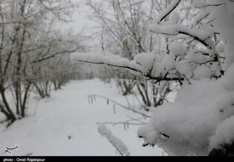 هواشناسی ایران 98/12/6| برف و باران کشور را فرا می‌گیرد
