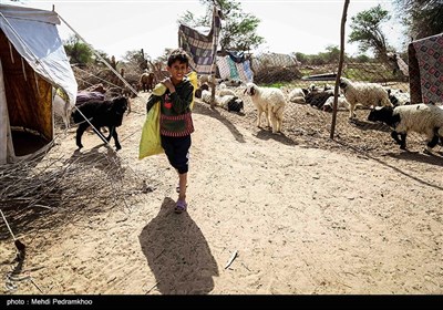 بطور یقین چنانچه این منطقه بوسیله مالچ نفتی آلود شود حیات هم در آن فلج خواهد شد .مالچ نفتی تمام موجودات زنده ذره بینی واقع در سطح شنزارها را نابود میکند همینطور تمام حشرات، خزندگان و پستانداران کوچک و متوسط در جا از بین می برد و باعث فراری شد پستانداران بزرگتر میشود.