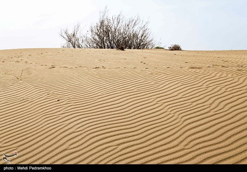 حدیث|گناهی که در هلاکت انسان عجله می‌کند !