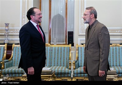 الکساندر شالنبرگ وزیر امور خارجه اتریش و علی لاریجانی رئیس مجلس ایران