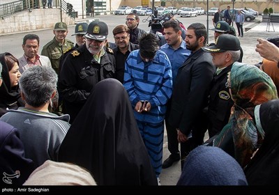 دستگیری باند سارقین و متجاوزین به عنف و جاعلین اسناد و مدارک در شیراز