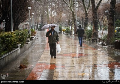 بارش باران در تهران