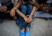 بوشهر| 4 سارق مسلح در دیلم دستگیر شد