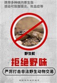 مصوبه جدید مجلس چین درباره ممنوعیت خوردن حیوانات وحشی