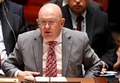 هشدار نماینده روسیه در شورای امنیت درباره ادامه اعمال فشار بر سوریه