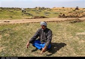 مالچ پاشی منطقه بیت کوصر - خوزستان