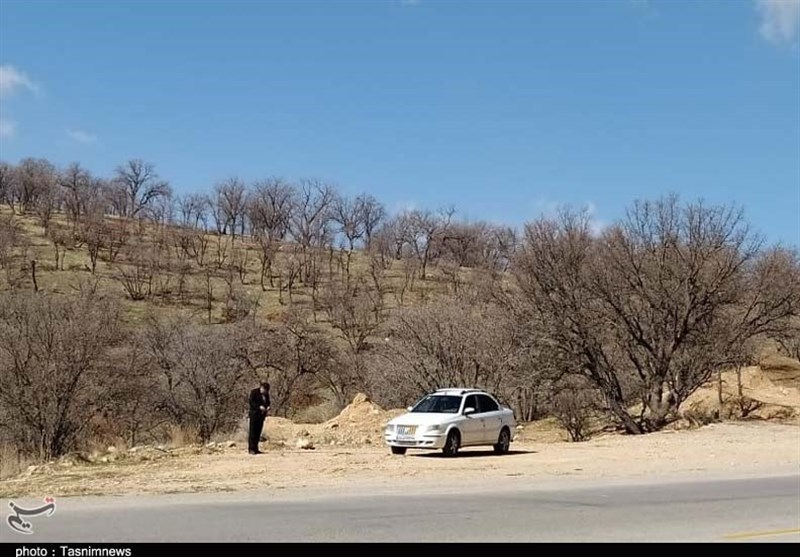 بلوط،قطع،كاشت،كهگيلويه،بويراحمد،درخت،دادگستري،استان،تسنيم،غرس