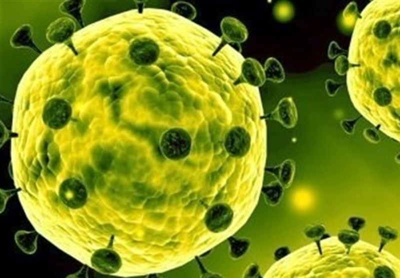 کرونا وائرس امریکا کی مختلف ریاستوں میں پھیل گیا؛ ہلاکتوں میں اضافہ