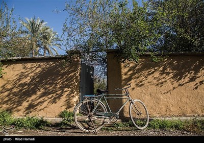 الربيع في بهبهان بمحافظة خوزستان