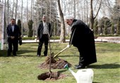 روحانی:‌ درختان جنگلی اطراف تهران نسبت به اول انقلاب 16 برابر شده است