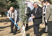 مراسم روز درختکاری در آکادمی ملی المپیک برگزار شد