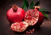 دست دلالان از بازار انار خراسان رضوی کوتاه میشود