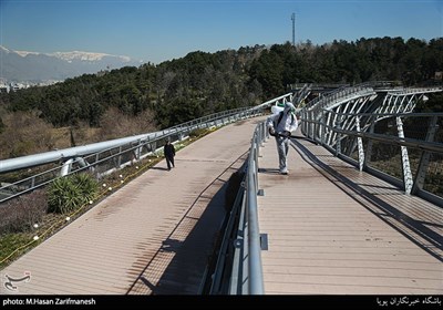 گندزدایی پل طبیعت