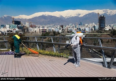 گندزدایی پل طبیعت