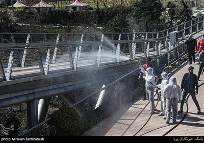 گندزدایی پل طبیعت