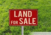 خرید زمین در شمال با قیمت استثنایی