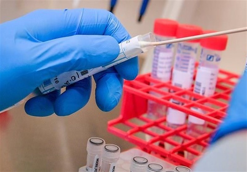 پژوهش‌های تخصصی کرونا با محوریت تولید واکسن توسط محققان دانشگاه شیراز آغاز شد