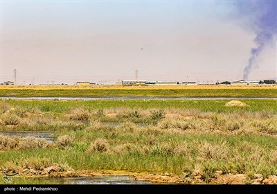 براساس آزمایشی که توسط دانشگاه شهید چمران اهواز از باکتری‌های موجود در آب کانال‌های روباز مرکز شهر امیدیه انجام شده است مشخص شد که بیش از یک‌میلیون در هر میلی‌متر از این آب‌ها باکتری ناسالم وجود دارد و این در شرایطی است یکی از راه‌های انتقال ویروس کرونا از طریق دفع فضولات انسانی است که این کانال‌های روباز شهر امیدیه را شدید تهدید میکند