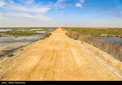 براساس آزمایشی که توسط دانشگاه شهید چمران اهواز از باکتری‌های موجود در آب کانال‌های روباز مرکز شهر امیدیه انجام شده است مشخص شد که بیش از یک‌میلیون در هر میلی‌متر از این آب‌ها باکتری ناسالم وجود دارد و این در شرایطی است یکی از راه‌های انتقال ویروس کرونا از طریق دفع فضولات انسانی است که این کانال‌های روباز شهر امیدیه را شدید تهدید میکند