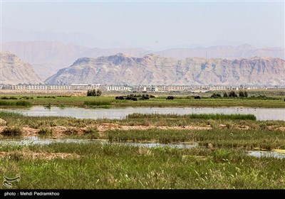 براساس آزمایشی که توسط دانشگاه شهید چمران اهواز از باکتری‌های موجود در آب کانال‌های روباز مرکز شهر امیدیه انجام شده است مشخص شد که بیش از یک‌میلیون در هر میلی‌متر از این آب‌ها باکتری ناسالم وجود دارد و این در شرایطی است یکی از راه‌های انتقال ویروس کرونا از طریق دفع فضولات انسانی است که این کانال‌های روباز شهر امیدیه را شدید تهدید میکند