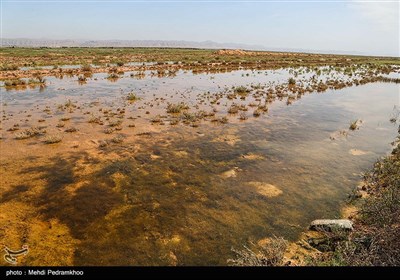 براساس آزمایشی که توسط دانشگاه شهید چمران اهواز از باکتری‌های موجود در آب کانال‌های روباز مرکز شهر امیدیه انجام شده است مشخص شد که بیش از یک‌میلیون در هر میلی‌متر از این آب‌ها باکتری ناسالم وجود دارد و این در شرایطی است یکی از راه‌های انتقال ویروس کرونا از طریق دفع فضولات انسانی است که این کانال‌های روباز شهر امیدیه را شدید تهدید میکند