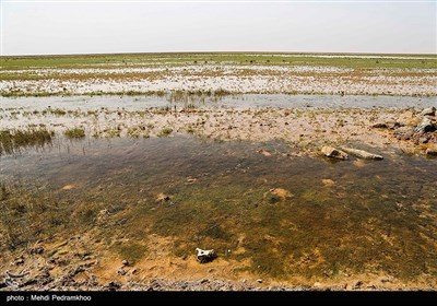 براساس آزمایشی که توسط دانشگاه شهید چمران اهواز از باکتری‌های موجود در آب کانال‌های روباز مرکز شهر امیدیه انجام شده است مشخص شد که بیش از یک‌میلیون در هر میلی‌متر از این آب‌ها باکتری ناسالم وجود دارد و این در شرایطی است یکی از راه‌های انتقال ویروس کرونا از طریق دفع فضولات انسانی است که این کانال‌های روباز شهر امیدیه را شدید تهدید میکند