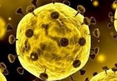 135 بیمار مبتلا به ویروس کرونا در شاهرود مرخص شدند