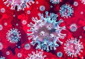 مجله علمی آمریکا: افراد آلوده به نوع اولیه ویروس کرونا در آمریکا و استرالیا متمرکزند