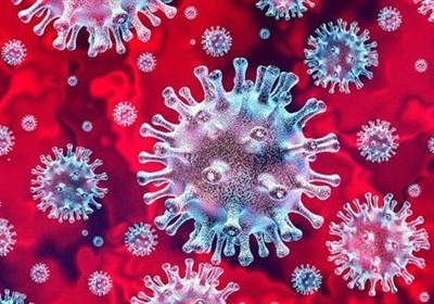  نیویورک تایمز: "اروپا" منشأ شیوع ویروس کرونا در نیویورک آمریکا 