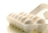 قیمت تخم مرغ شناسنامه دار در بسته‌های مختلف اعلام شد + سند