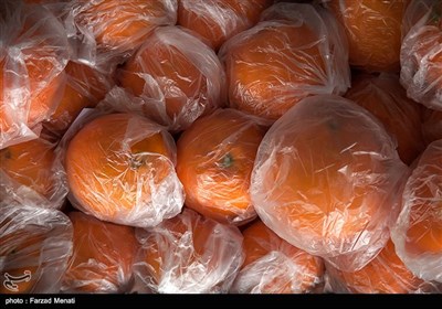 ميوه،قزوين،عيد،ميدان،تنظيم،توزيع،شب،شهر،سازمان،روستايي